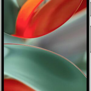 Google Pixel 9 Pro XL Smartphone 128 GB 17.3 cm (6.8 Zoll) Haselnussbraun Android™ 14 Dual-SIM