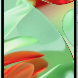 Google Pixel 9 Smartphone 128 GB 16 cm (6.3 Zoll) Wintergrün Android™ 14 Dual-SIM